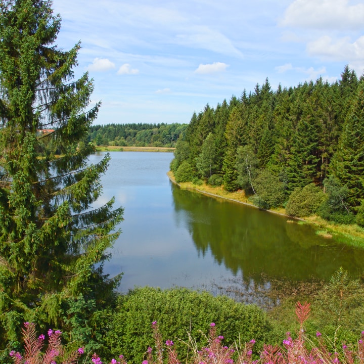 Urlaub im Echten Oberharz
